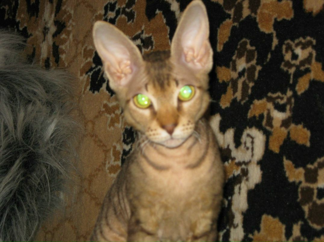 Наталья Загуляева | 