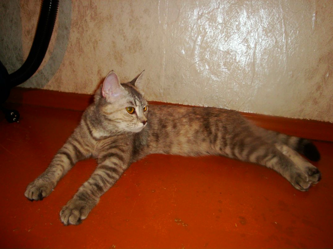 Виктория Шаповалова | Красноярск