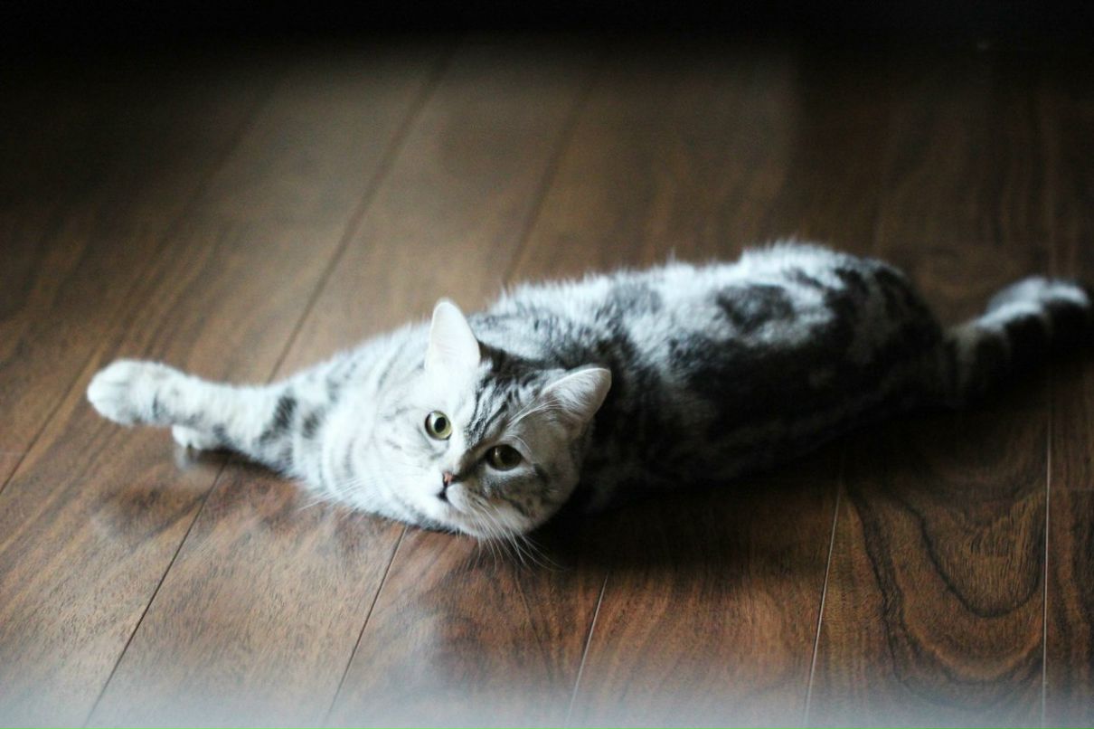 Элина Стульникова | Казань