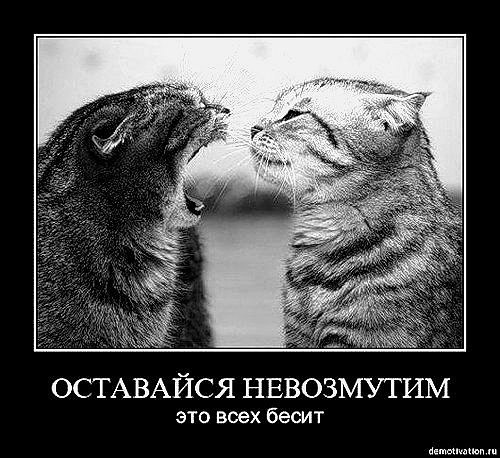 Николай Сергиенко КОЛЮЧИЙ | Нижний Новгород