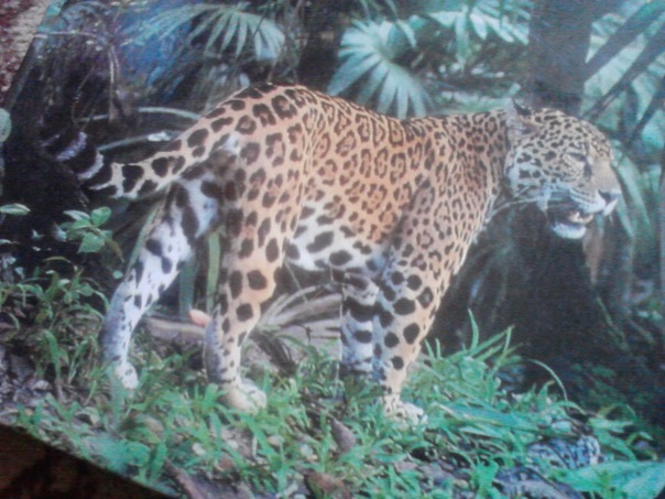 №3, Даниил Попов №3, Даниил Попов