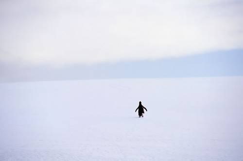 Виталий Милейко | Чернигов