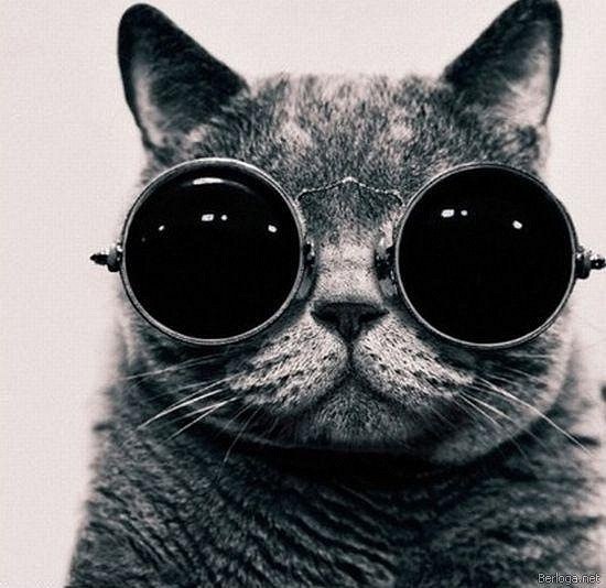 Ян Павловский Nikola Pitersky | Екатеринбург