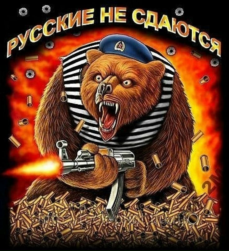 Дмитрий Вершинин Витальевич | Выборг