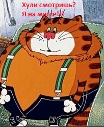 Иван Соболев INF | Тамбов