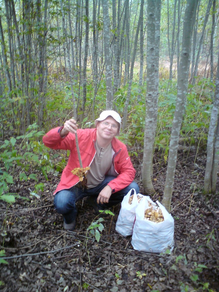 Вадим Кузнецов | Санкт-Петербург