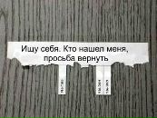 Фотография Евгения Авдеева
