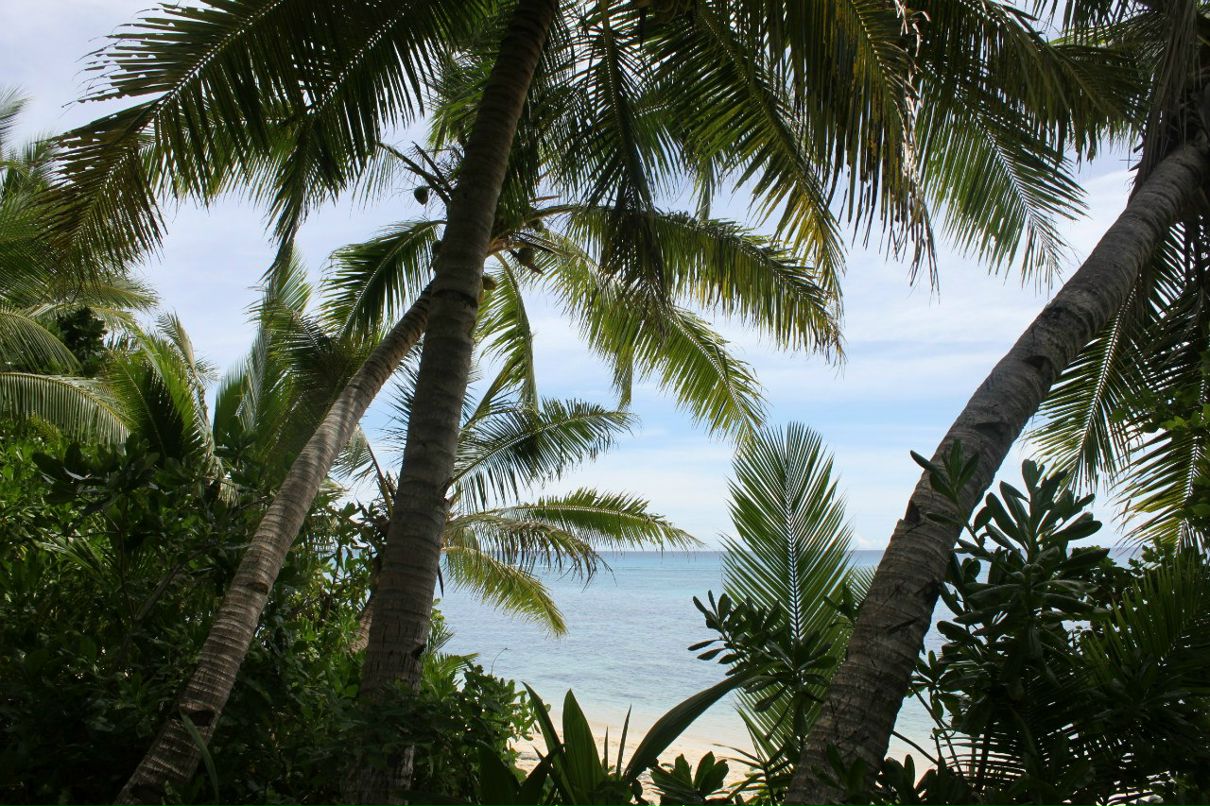 Наталия Stronger | Киев