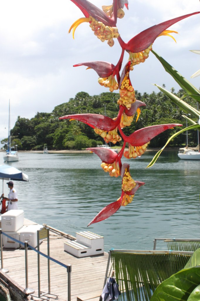 Наталия Stronger | Киев