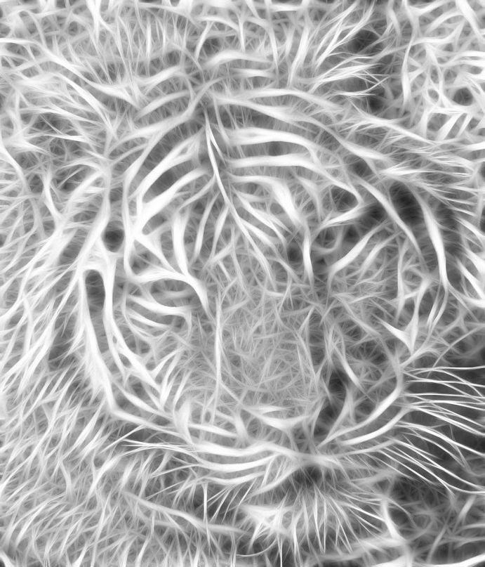 Антон Jajajajajajajajajajaja ʎ | Москва