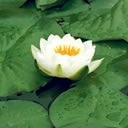 №2, Таня Танюшка, Смела, Украина №2, Таня Танюшка, Смела, Украина