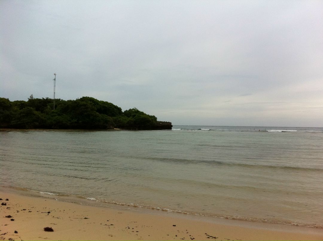 Мария Тарковская Сергеевна | Новосибирск