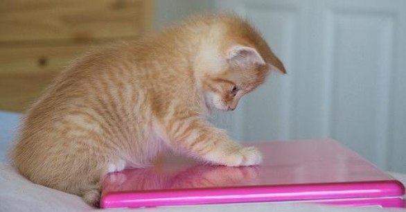 Назар Кваснюк | Коломыя