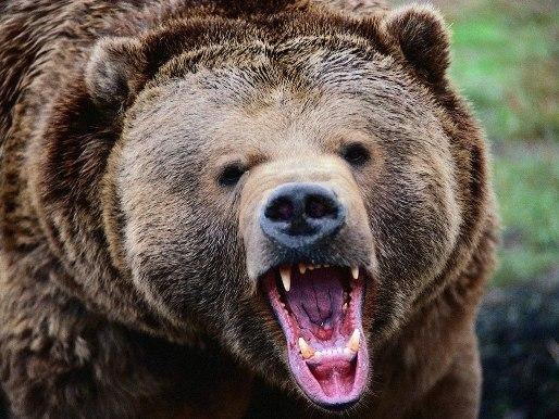 Максим Орлов | Екатеринбург