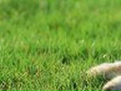 Сергей Антко - и - Светлана | Николаев