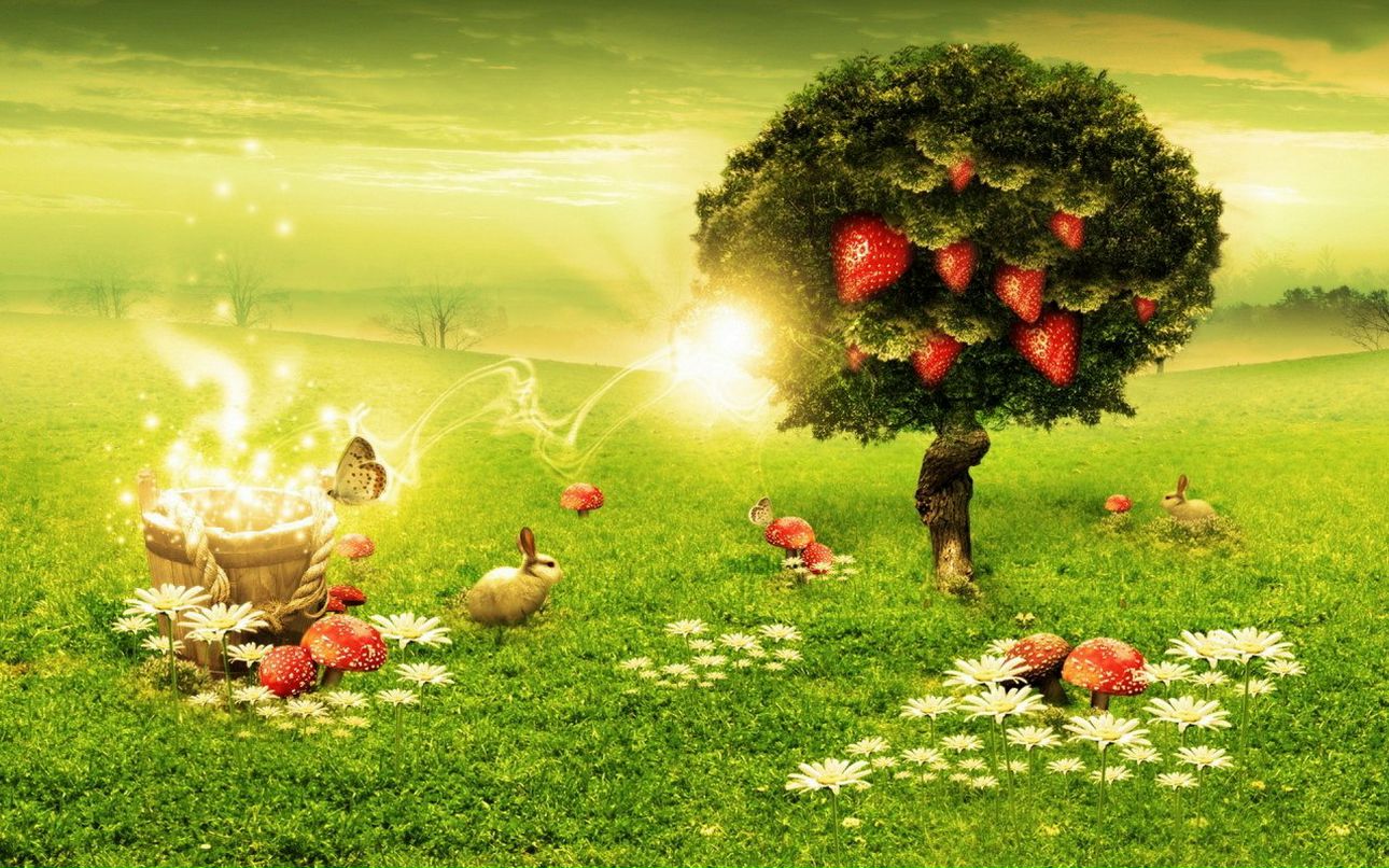 Анатолий Ильин | Мурманск