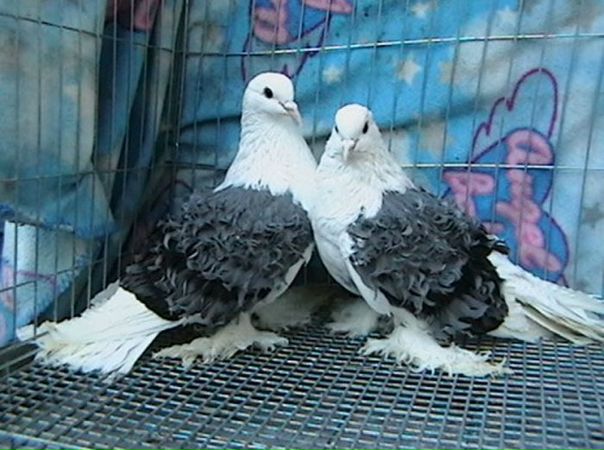 №108, Анастасия Гореликова, 34 года, Ярославль №108, Анастасия Гореликова, 34 года, Ярославль