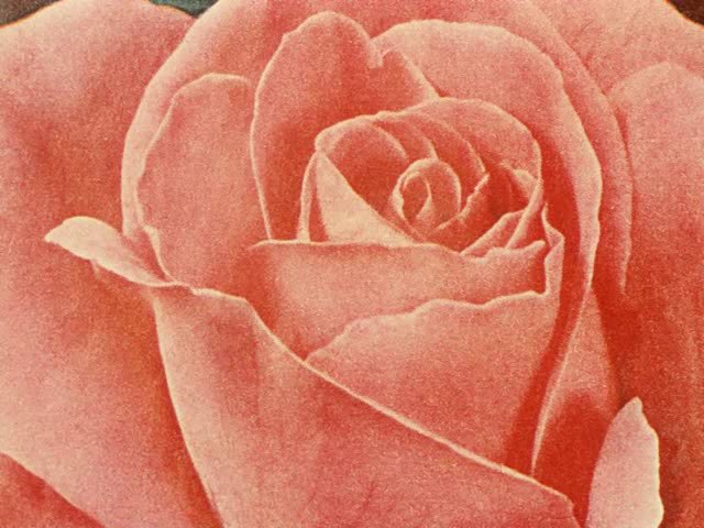 Виктор Семенченко | Одесса