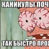 Аватар: Наташа Наумова