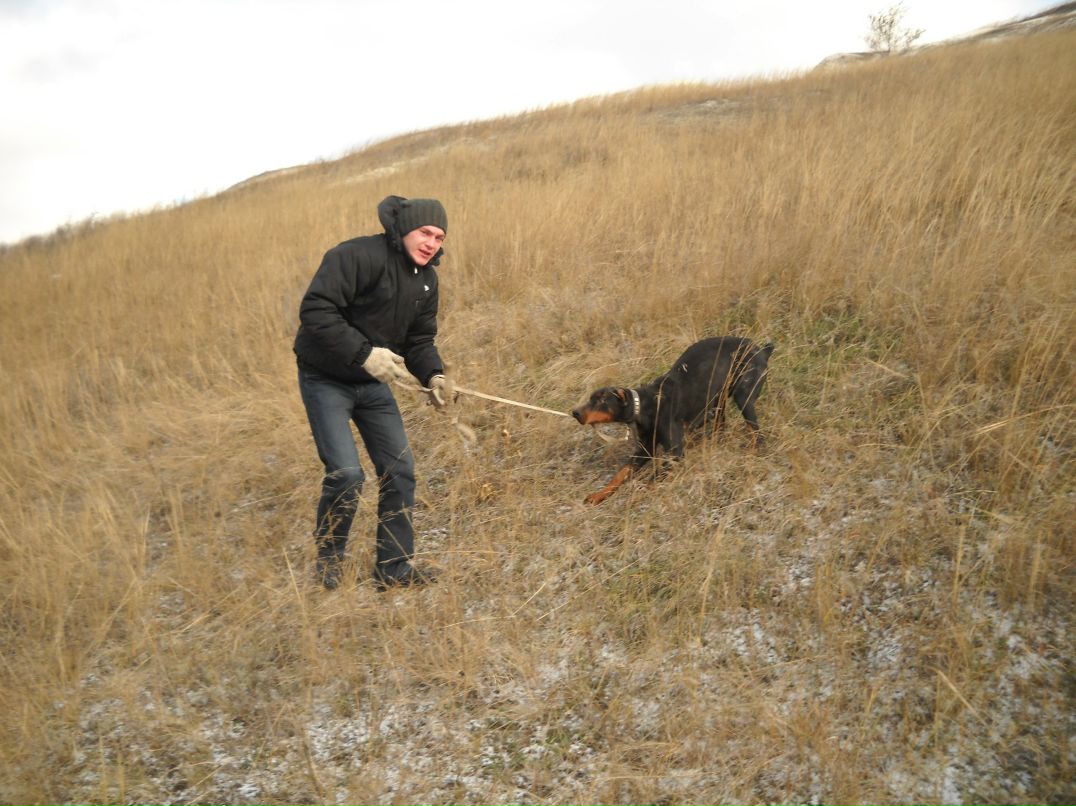 Алексей Павлов | Ульяновск