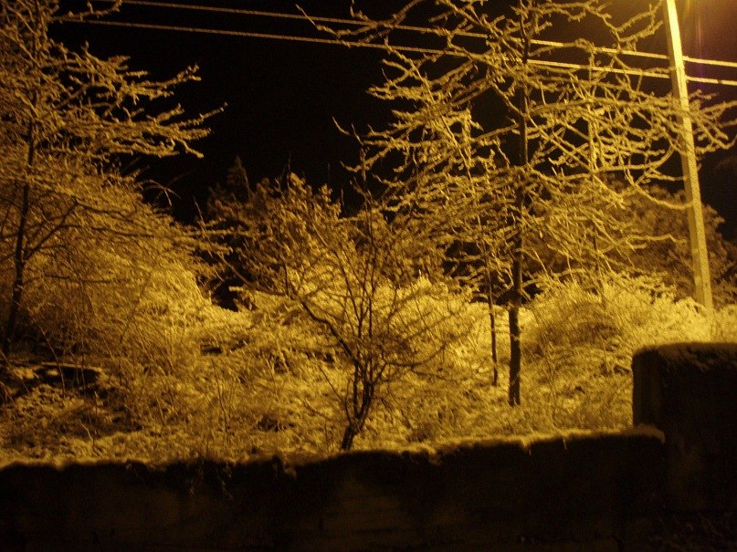 Олег Сахарчук | Севастополь