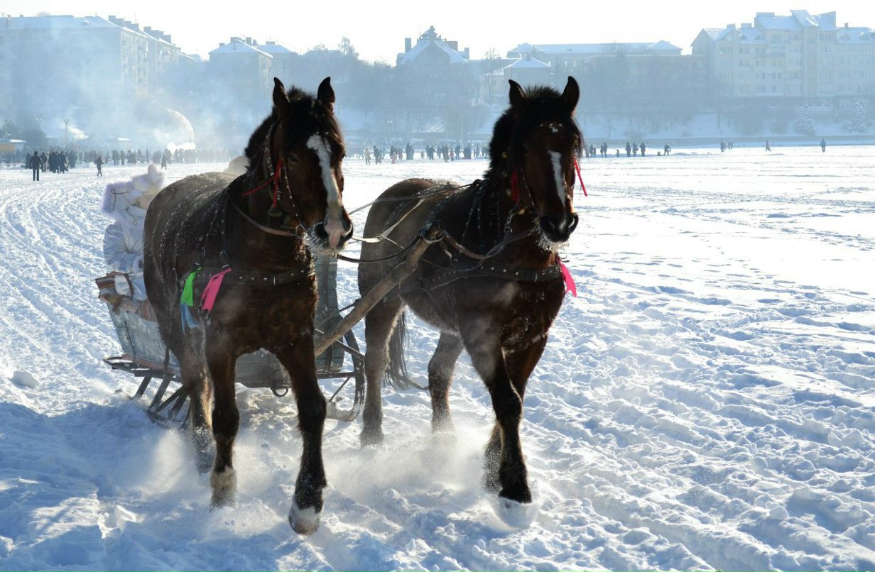 Анита Панова | Владивосток