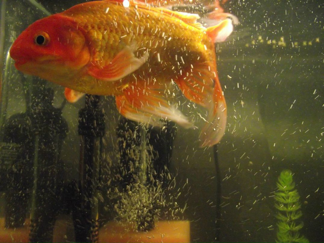 Павел Г | Омск