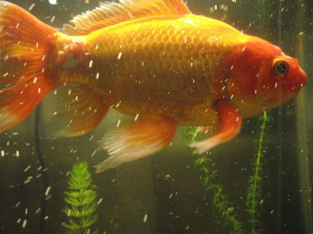 Павел Г | Омск