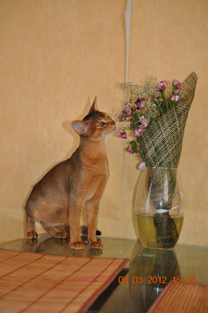 Лидия Аникина | 