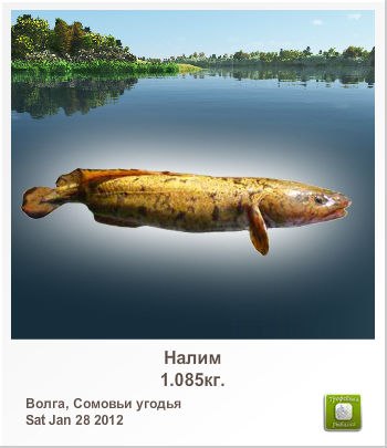 Роман Мельников | Волгоград