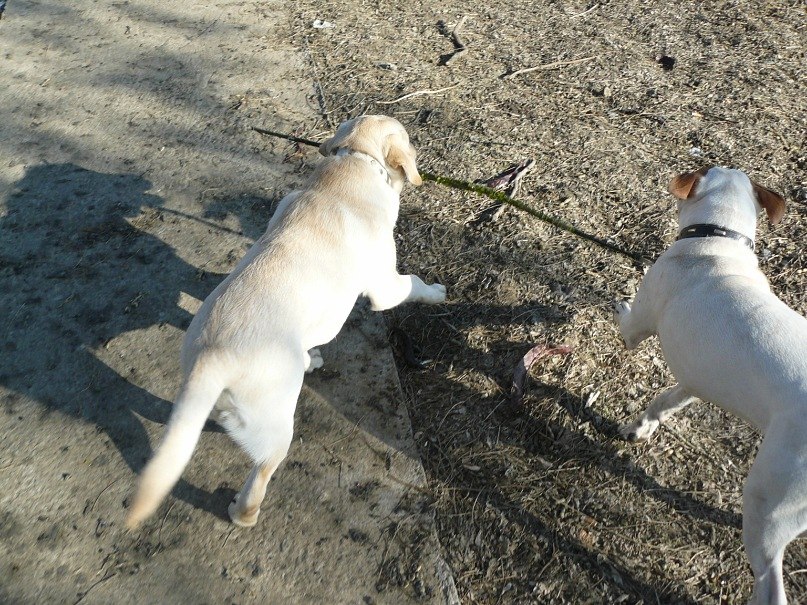 Инна Ошовская | Одесса