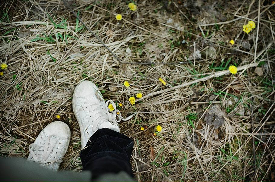 №16, Чик Полосатенький, Москва №16, Чик Полосатенький, Москва