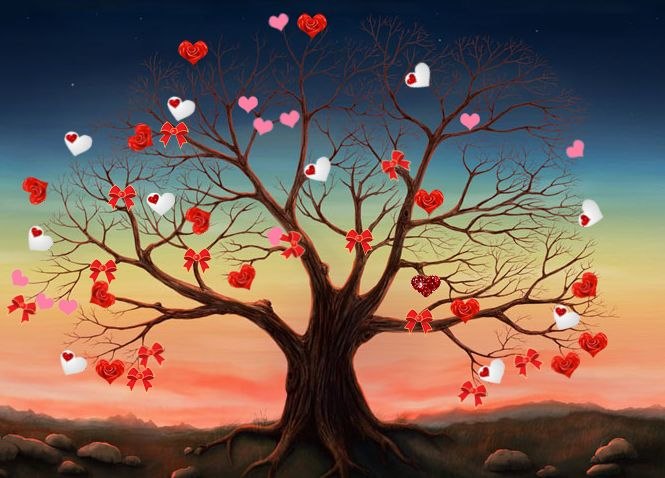 Андрей Каленченко | Киев