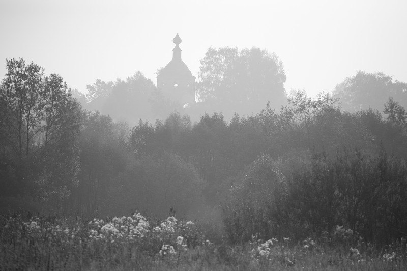 Екатерина Рузанкина Teri | 