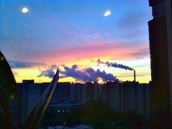 Маргарита Молко | Санкт-Петербург