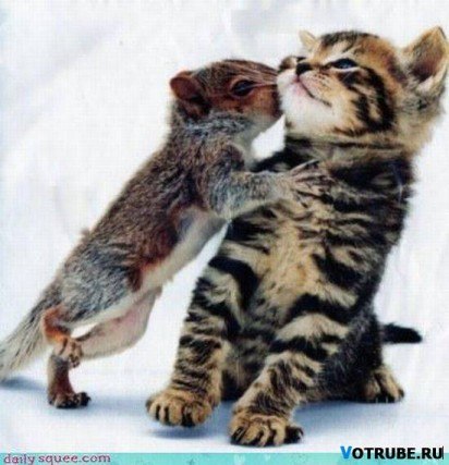 Юлия Корепова | Санкт-Петербург