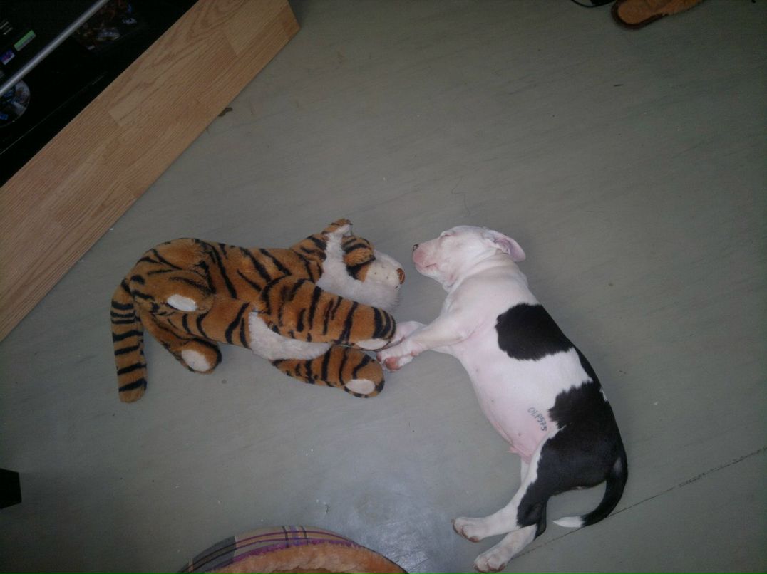 Наталья Терентьева | Санкт-Петербург