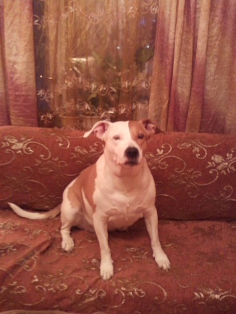 Оксана Копыленко | Москва