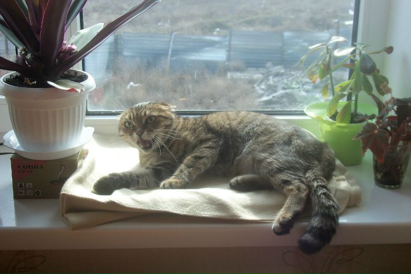 Natali Chenskaya | Николаев