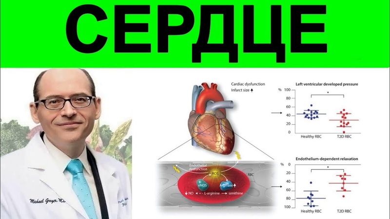 Увеличение уровня эндотелиальных прогениторных клеток ( EPC)