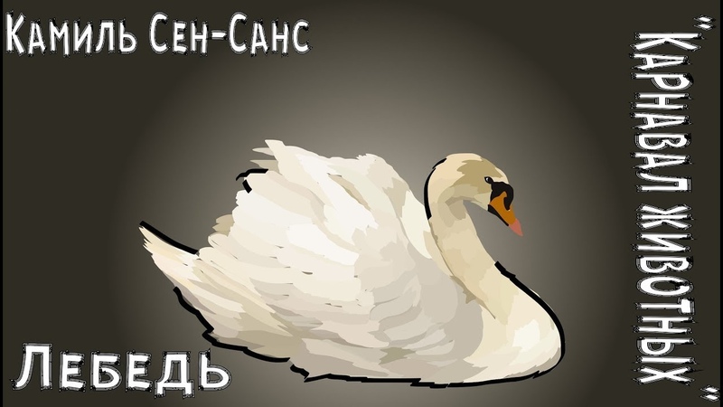 сюита лебедь. сен-санс карнавал животных лебе. сен-санс карнавал животных лебедь. камиль сен-санс карнавал животных лебедь. сен-санс карнавал животных лебедь.