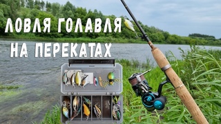 Ловля голавля на перекатах