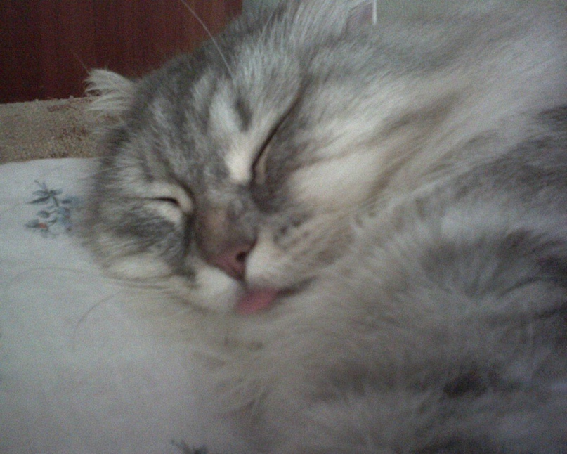 Ирина Журавлева | Волгоград