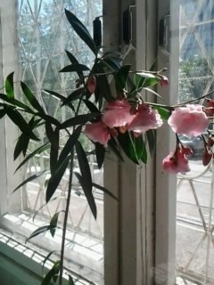 Оля Матвеева | Екатеринбург