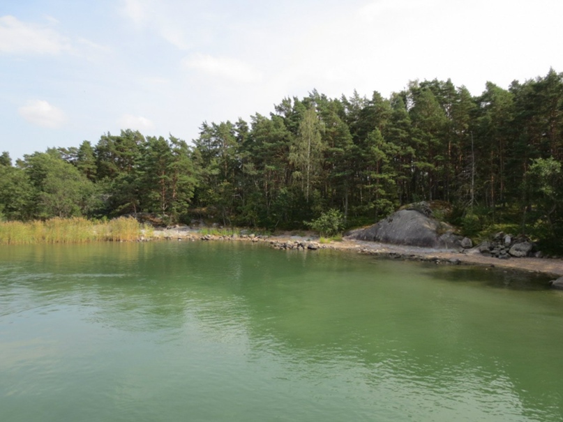 Светлана Слепченко Юрьевна | Петрозаводск