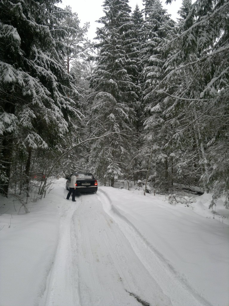 Люда Алексеева | Псков