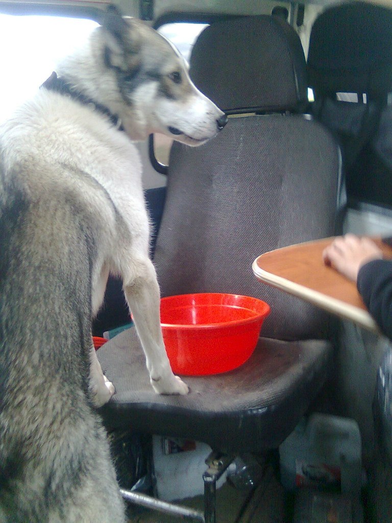 Евгений Лешуков михайлович | Северодвинск