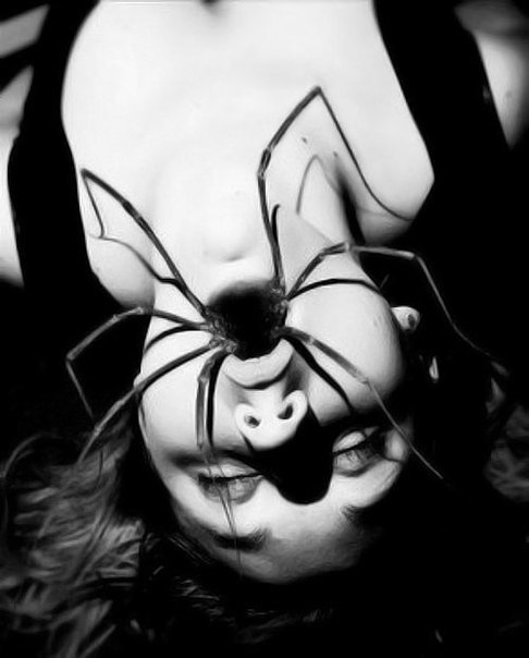 Аня Чиркова | Ижевск