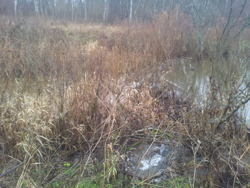 Григорий Белкин | Тверь