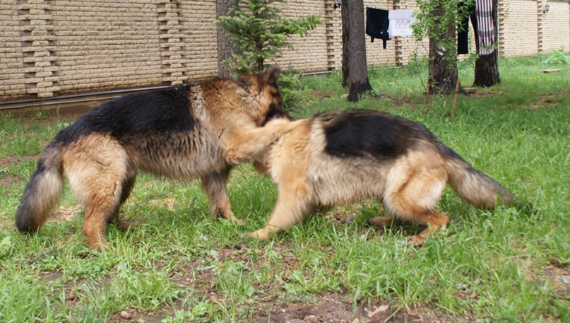 Денис Костеж | Санкт-Петербург